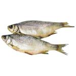 Samyi Smak Shelf Sun Dried Common Roach