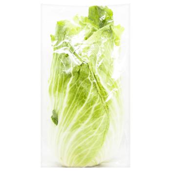 Sugar Loaf Lettuce