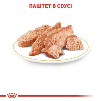 Корм вологий Royal Canin Adult з домашньою птицею для собак породи чихуахуа 9+3шт*85г - купити, ціни на MasterZoo - фото 5