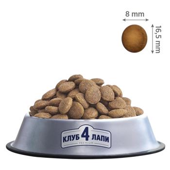 Club 4 Paws Premium Dry Food with Lamb and Rice for Dogs of All Breeds - buy, prices for COSMOS - photo 1