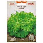 Nasinnia Ukrainy Maxi Leaf Lettuce Seeds 5g