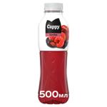 Cappy Berry Juice Drink 0.5l
