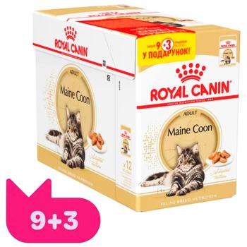 Royal Canin Wet Food for Maine Coon Cats 9+3pcs x 85g - buy, prices for MasterZoo - photo 1