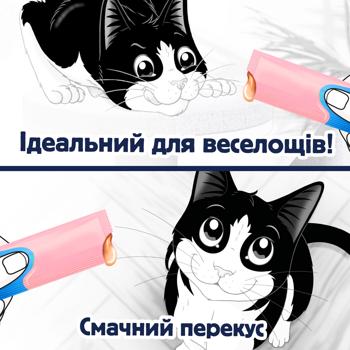 Felix Deli Moments Additional Feed with Salmon for Adult and Senior Cats 40g - buy, prices for MasterZoo - photo 4