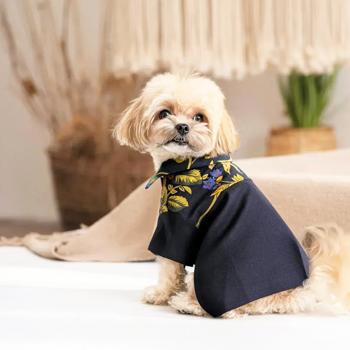 Shirt Pet fashion - buy, prices for MasterZoo - photo 5