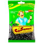 San Sanych Roasted Salted Sunflower Seeds 230g