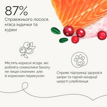 Savory Salmon Bars Dog Snack with Salmon for Skin and Coat 100g - buy, prices for MasterZoo - photo 3