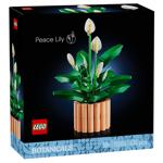 Конструктор Lego Botanicals Спатифілум