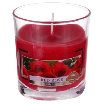 Vivat Red Rose Candle - buy, prices for - photo 1