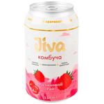 Jiva Raspberry Paradise Kombucha 0.33l