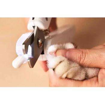 Кігтеріз для собак PETKIT LED Pet Clipper PRO - купить, цены на MasterZoo - фото 7