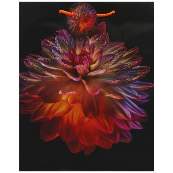 Art Studio of Happines GB-24153 Gift Bag 26х32х12cm - buy, prices for EKO Market - photo 1