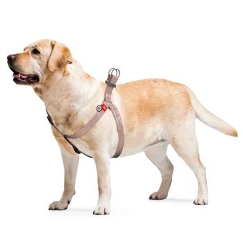 Шлея для cобак COLLAR WOUDOG Світловідбиваюча M - коричневий - купить, цены на MasterZoo - фото 4