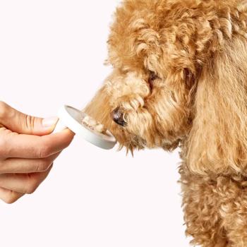 Delickcious Creamy Snack Dog Snack with Duck and Cranberries 4pcs*15g - buy, prices for - photo 7