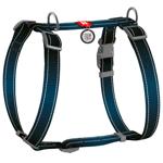 Leash Collar