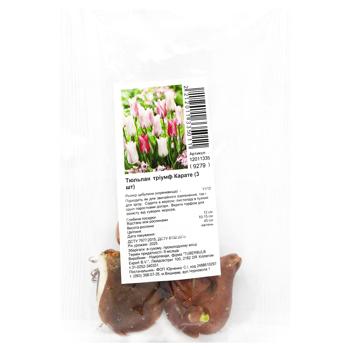 Triumph Karate Tulip Bulbs 3pcs - buy, prices for ULTRAMARKET - photo 1