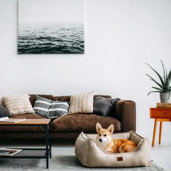 Noble Pet Leon Pet Bed 55x45х18cm Sand - buy, prices for COSMOS - photo 4