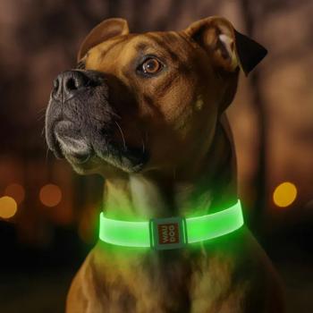 Waudog Led нашийник для собак M - прозорий з підсвічуванням - купити, ціни на MasterZoo - фото 5