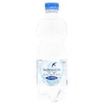 San Benedetto Hghly Carbonated Mineral Water 0.5l