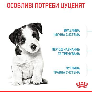 Корм сухий Royal Canin з домашньою птицею для цуценят малих порід 7+1кг - купити, ціни на MasterZoo - фото 3