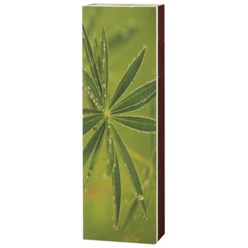 Сірники НВ для каміну та гриля 50шт - купити, ціни на За Раз - фото 7