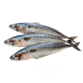 Fish atlantic mackerel - buy, prices for Ideal - photo 1