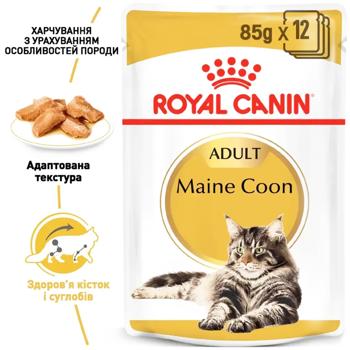 Royal Canin Wet Food for Maine Coon Cats 9+3pcs x 85g - buy, prices for MasterZoo - photo 3