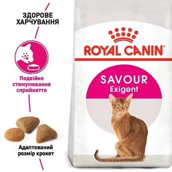 Набір корму Royal Canin Savour Exigent для вибагливих котів cухий 2кг + вологий 4шт х 85г - купити, ціни на MasterZoo - фото 3