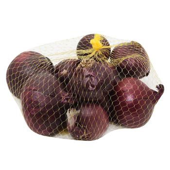 Galeks-Agro Organic Blue Onion - buy, prices for - photo 1