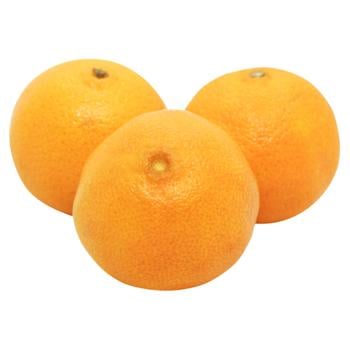 Satsuma Mandarin - buy, prices for NOVUS - photo 1