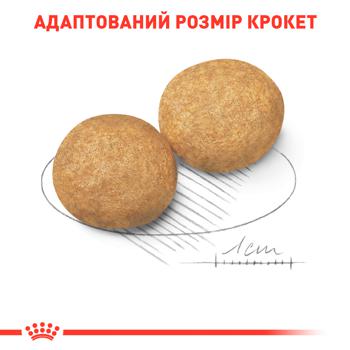 Royal Canin Adult Dry Food for Dogs of Medium Breeds 15kg - buy, prices for - photo 4