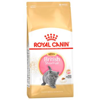Набір корму Royal Canin для кошенят породи британська короткошерста cухий 2кг + вологий 4шт х 85г - купити, ціни на MasterZoo - фото 3