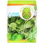 Puchok-Svizhachok Baby Spinach Salad 75g