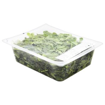 Metro Chef Washed Baby Spinach Lettuce 500g - buy, prices for METRO - photo 3