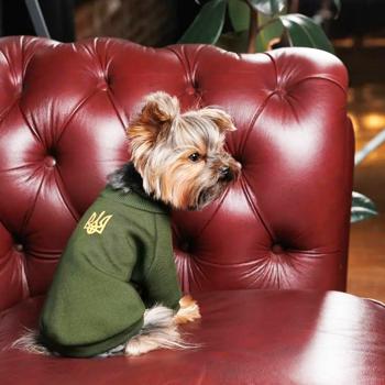 sweatshirt pet fashion xs2 - buy, prices for - photo 3