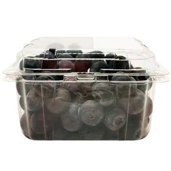 Blueberry Spain - buy, prices for - photo 2