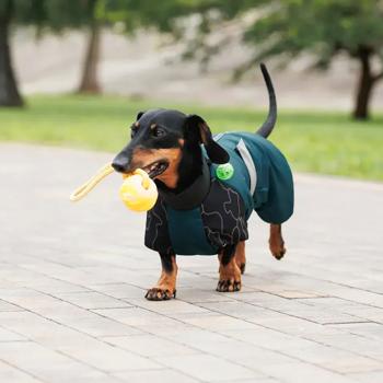Комбинезон для собак Pet Fashion Den водонепроницаемый со светоотражающими элементами р.XS такса - купить, цены на MasterZoo - фото 2