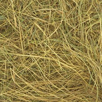 Мій Пухнастик відбірне сіно для гризунів 2 кг - купити, ціни на MasterZoo - фото 3