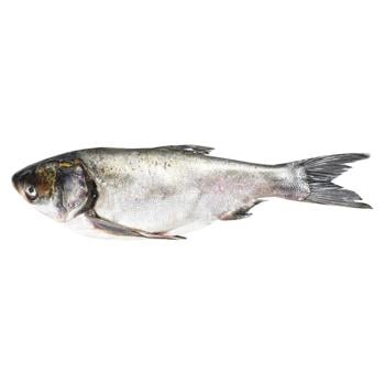 Silver Carp (2-5) - buy, prices for COSMOS - photo 1