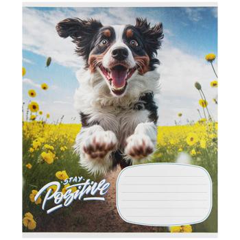 Shkolyaryk Notebook in Line 18 sheets in assortment - buy, prices for Ideal - photo 3