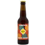 Пиво Brater Pumpkin Spicy Honey світле нефільтроване 5% 0,33л