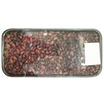 Colored Beans Ukraine