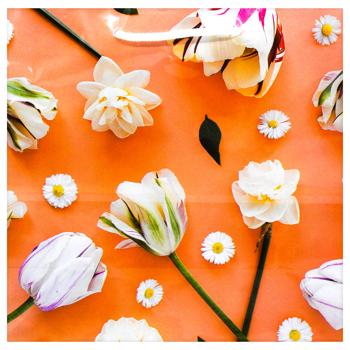 Пакет подарочный 24х23х10см в ассортименте - купить, цены на КОСМОС - фото 8