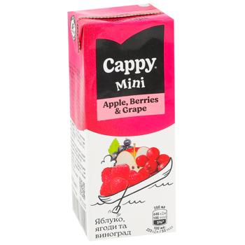 Нектар Cappy Mini ягоды-виноград-яблоко 200мл - купить, цены на МегаМаркет - фото 2