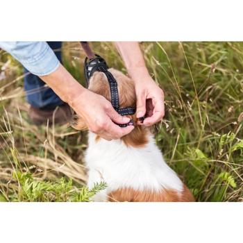 Trixie Muzzle Flex Silicone Muzzle L-XL 30cm Black - buy, prices for MasterZoo - photo 5