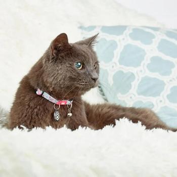 Нашийник для котів Max Molly Smart ID Цвітіння вишні One Size - білий - купить, цены на MasterZoo - фото 3
