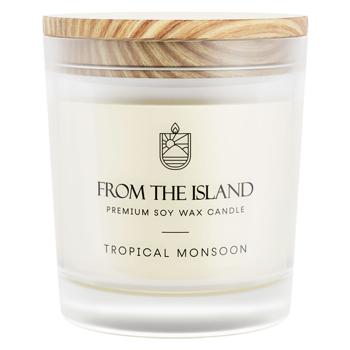 From The Island Tropical Monsoon Scented Candle 250ml - buy, prices for Biotus - photo 1