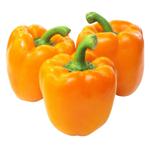 Orange pepper kg