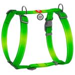 Leash Collar Ukraine