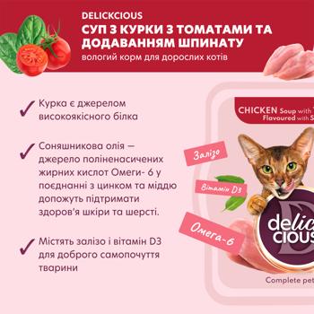 Суп для котів Delickcious з куркою, томатами та шпинатом для котів 80г - купити, ціни на MasterZoo - фото 3